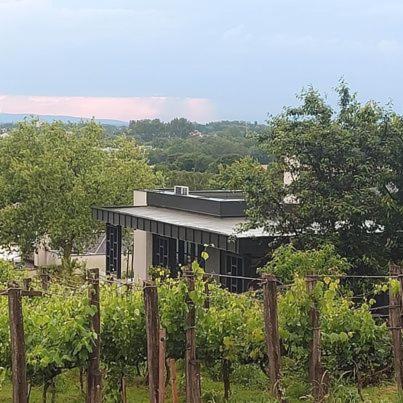 Terra Toscana Apartman Sárvár Dış mekan fotoğraf